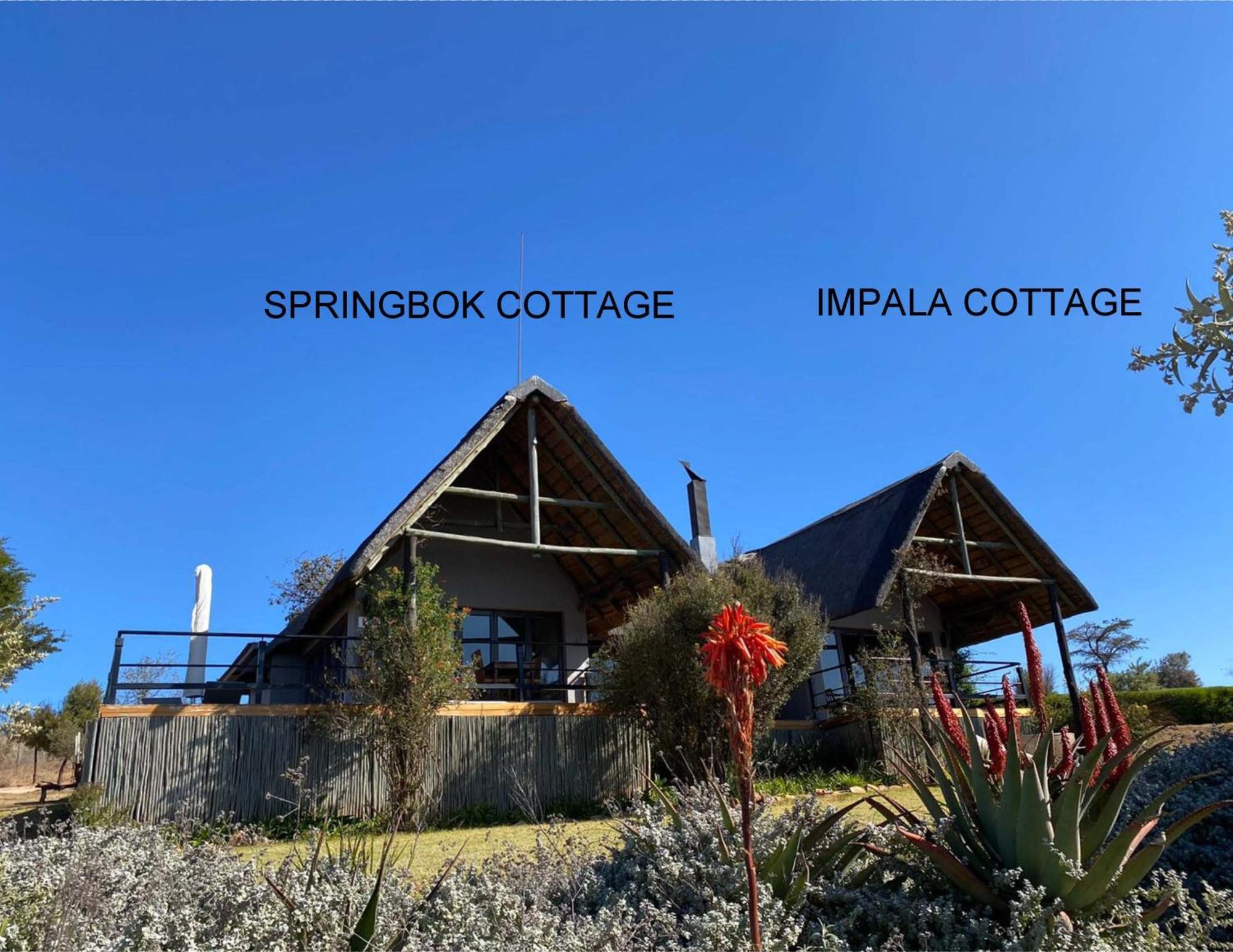 Sibani Lodge クルーガーズドープ エクステリア 写真
